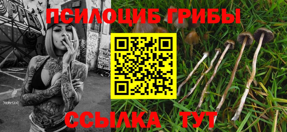 Галлюциногенные грибы Cubensis  Вход с VPN  Псилоцибиновые грибы MAGIC MUSHROOMS  Клин 